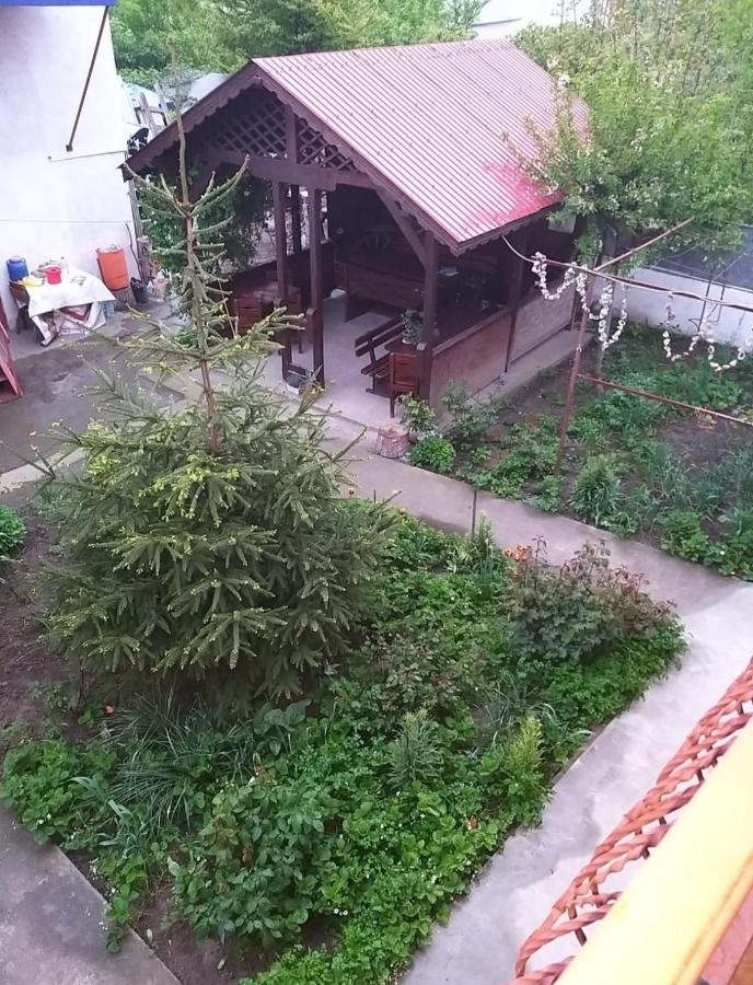 Pensiune La Rodica Hotel Costinesti Luaran gambar