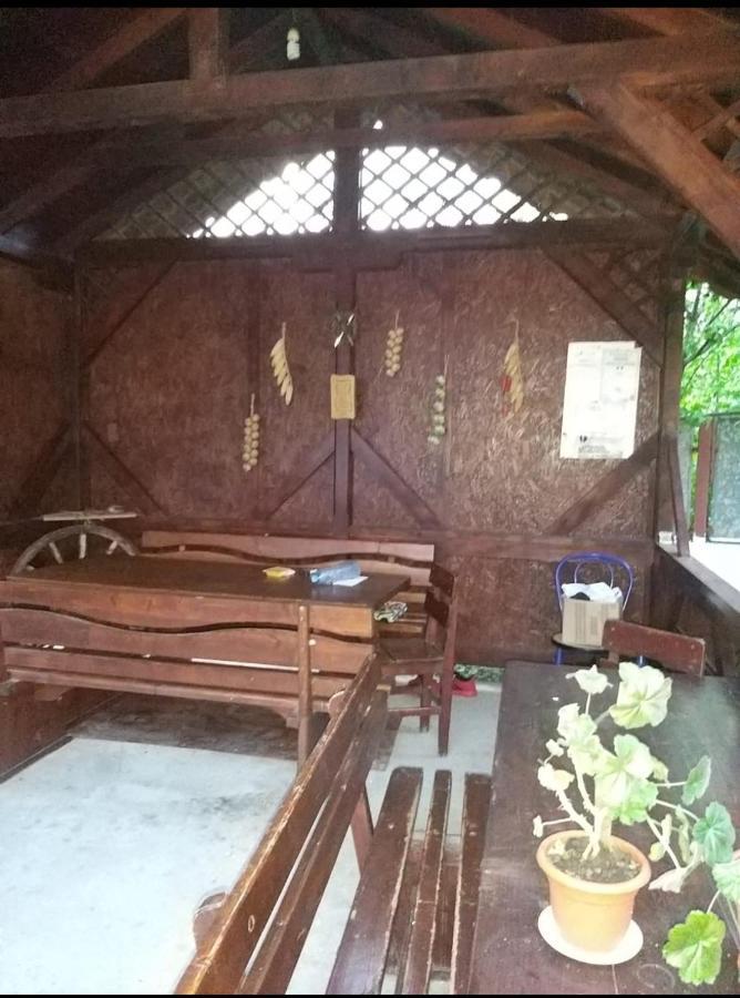 Pensiune La Rodica Hotel Costinesti Luaran gambar